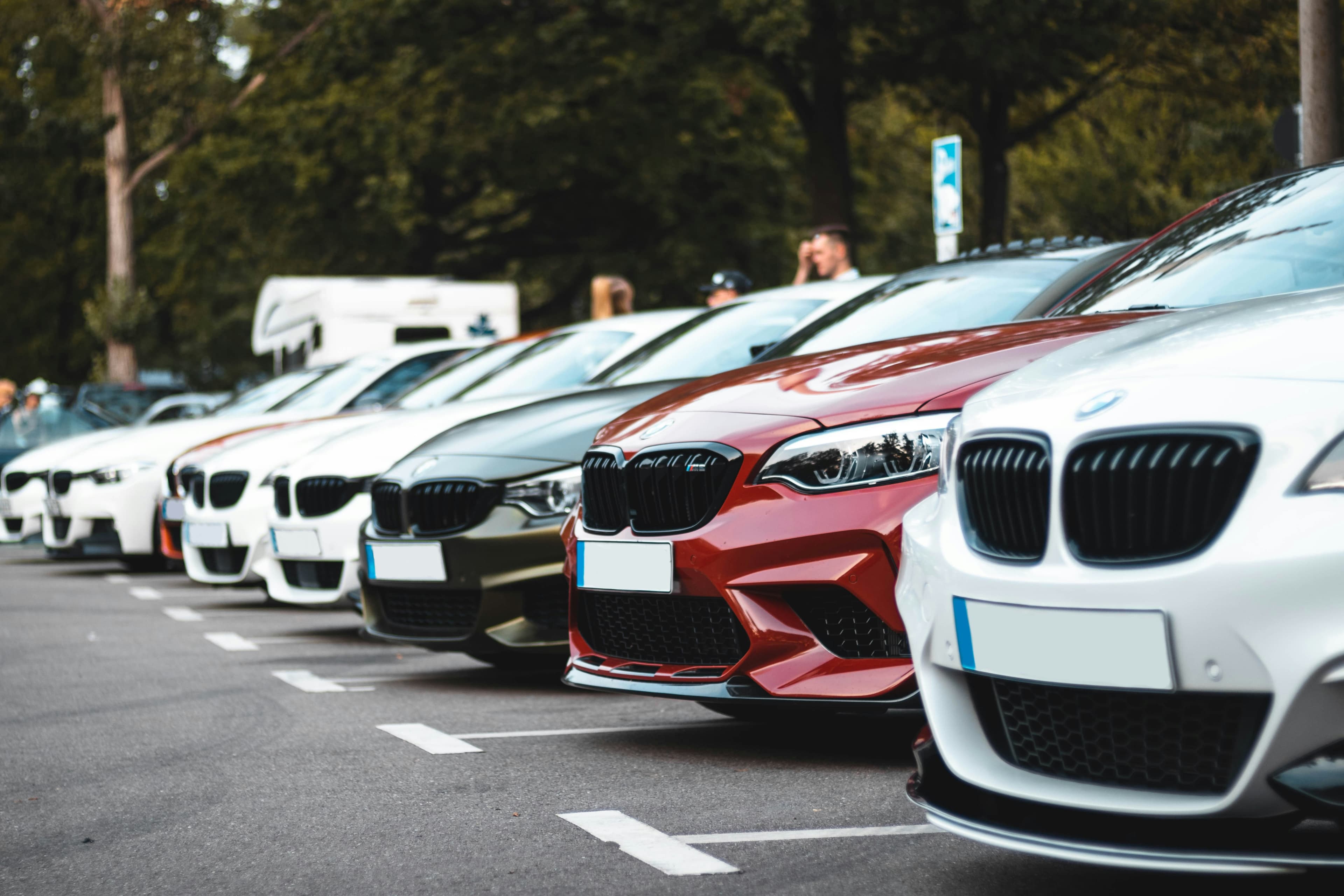 Car Rental Business